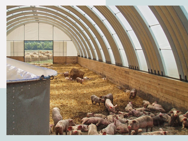 Строительство свинарников в Ханты-Мансийске